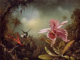 Famous Hummingbirds Paintings - Orchid with Two Hummingbirds